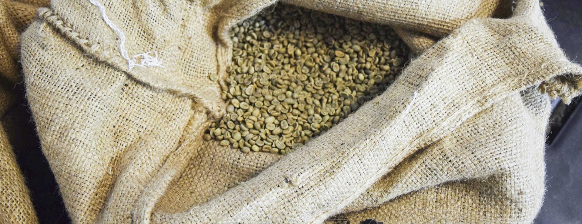 coffee cultivation: green (raw) coffee beans - Bunaa