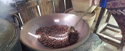 Coffee in Indonesia – extraordinary and exclusive Rarities