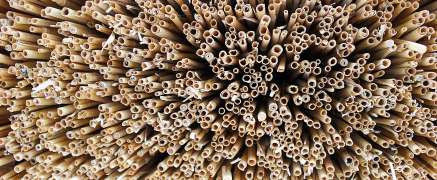 Sustainable Straws – Find the right one for you