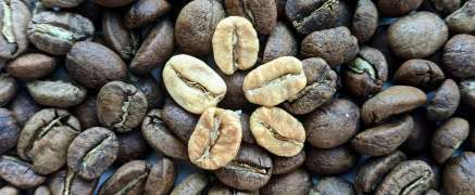Weißer Kaffee – Kaffeetrend 2021?