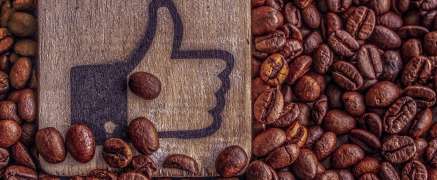 Kolonialer Kaffeehandel adé – Fair Roast
